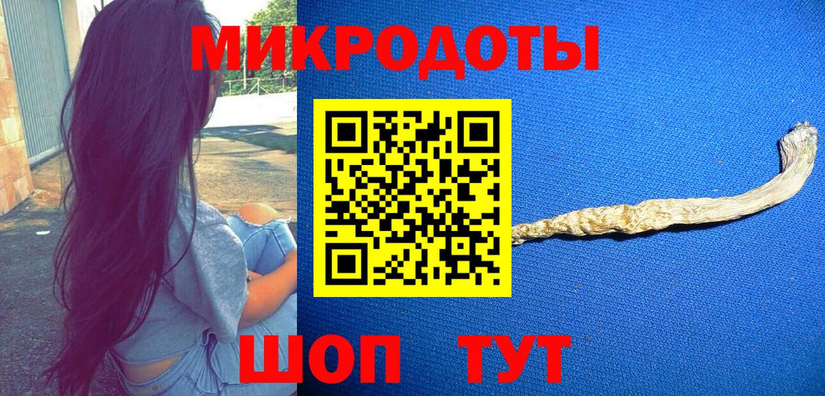 Галлюциногенные грибы Cubensis Мончегорск